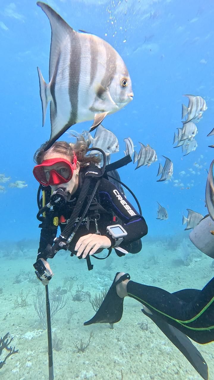 Deep Mexico es una agencia de tours especializada en buceo